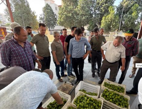 İlek Fiyatları Rekor Kırdı