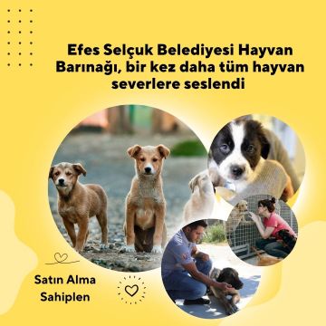 Efes Selçuk Belediyesi Hayvan Barınağı, bir kez daha tüm hayvan severlere seslendi 