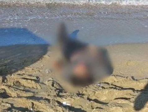 Kıyıya vurmuş erkek cesedi bulundu.